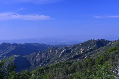 DSC_6154 (Large).JPG